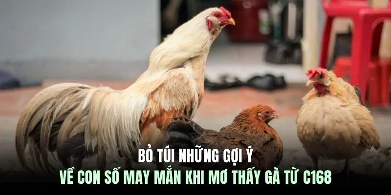 Bỏ túi những gợi ý về con số may mắn khi mơ thấy gà từ C168