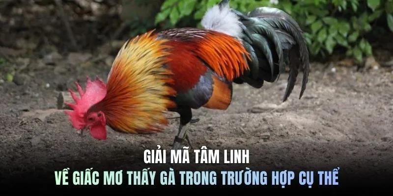 Giải mã tâm linh về giấc mơ thấy gà trong trường hợp cụ thể