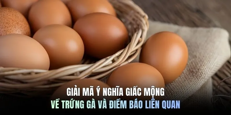 Giải mã ý nghĩa giấc mộng về trứng gà và điềm báo liên quan