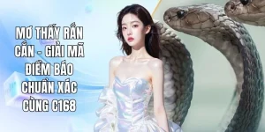 Mơ Thấy Rắn Cắn - Giải Mã Điềm Báo Chuẩn Xác Cùng C168