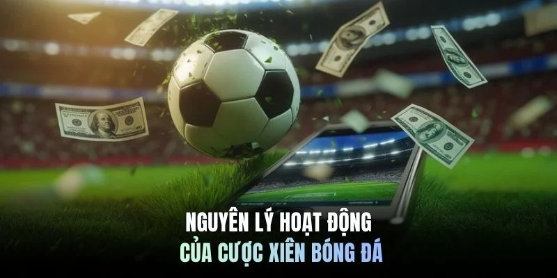 Nguyên lý hoạt động của cược xiên bóng đá