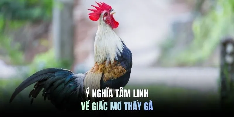 Ý nghĩa tâm linh về giấc mơ thấy gà
